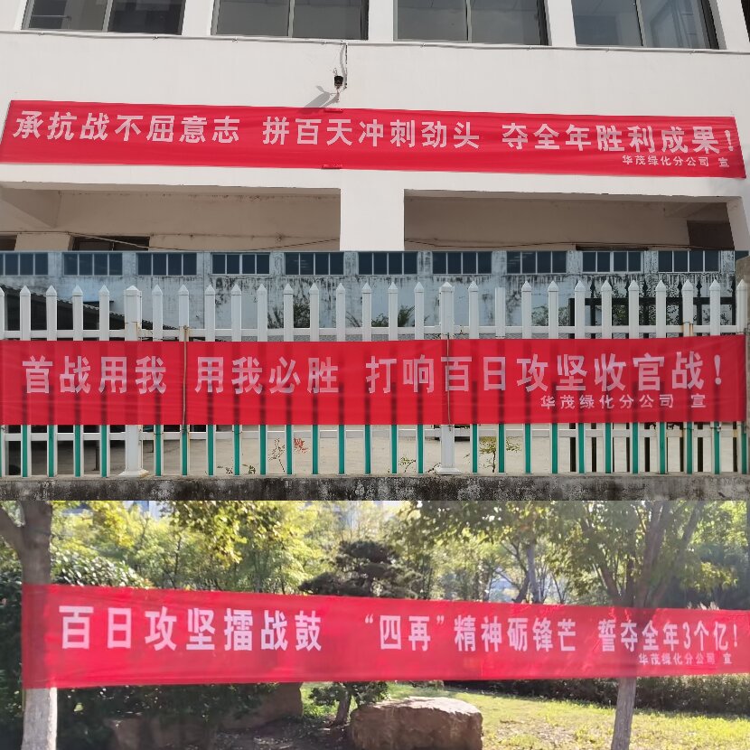 上网2