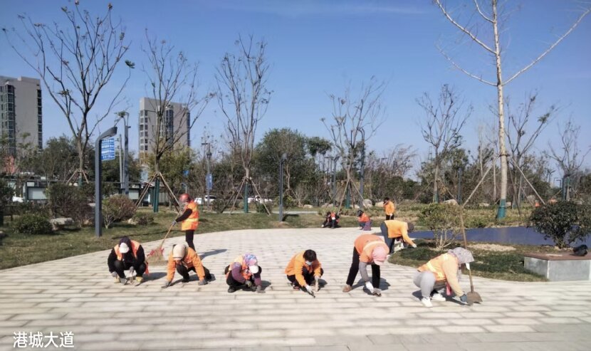 上网1