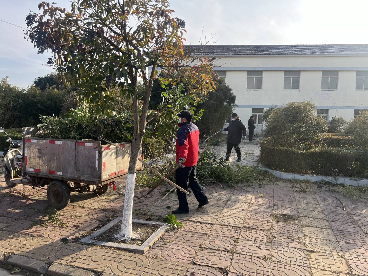 绿化修剪